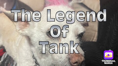 The Legend Of Tank