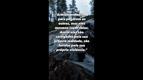 Deus é justo você colhe o que planta !!! - God is fair you reap what you sow!!!!