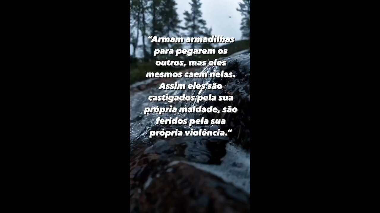 Deus é justo você colhe o que planta !!! - God is fair you reap what you sow!!!!