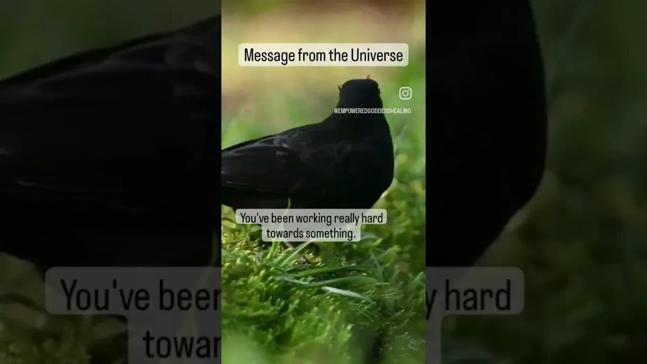 Message from the Universe