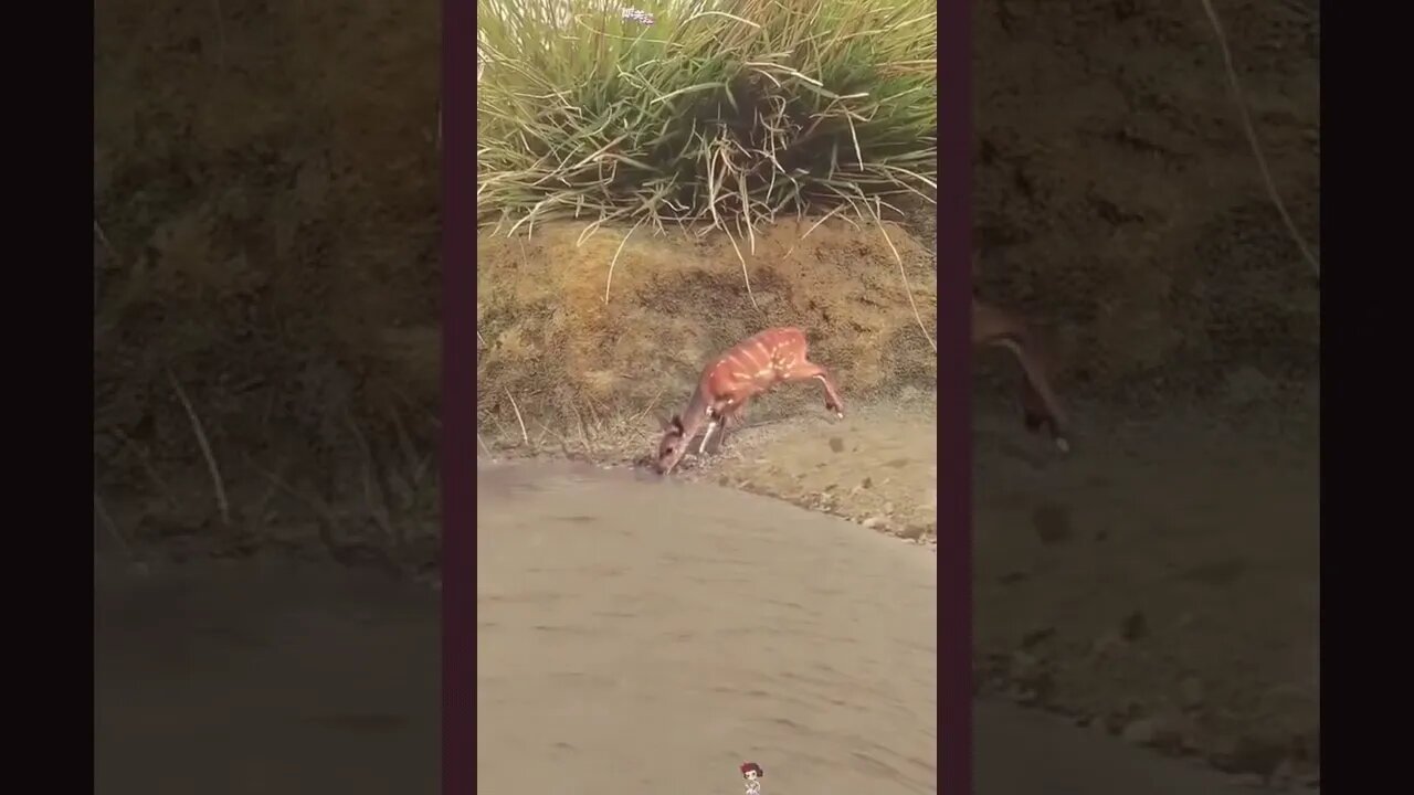 😱Esse é ninja😱 #shorts