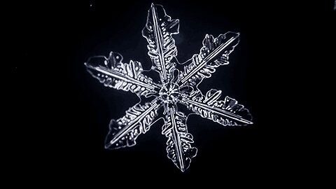Icy