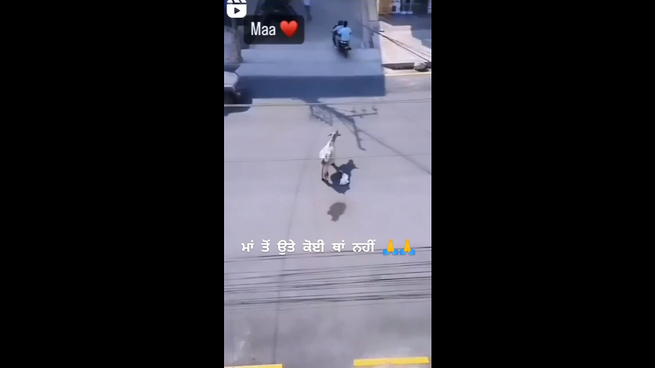Mom shadow