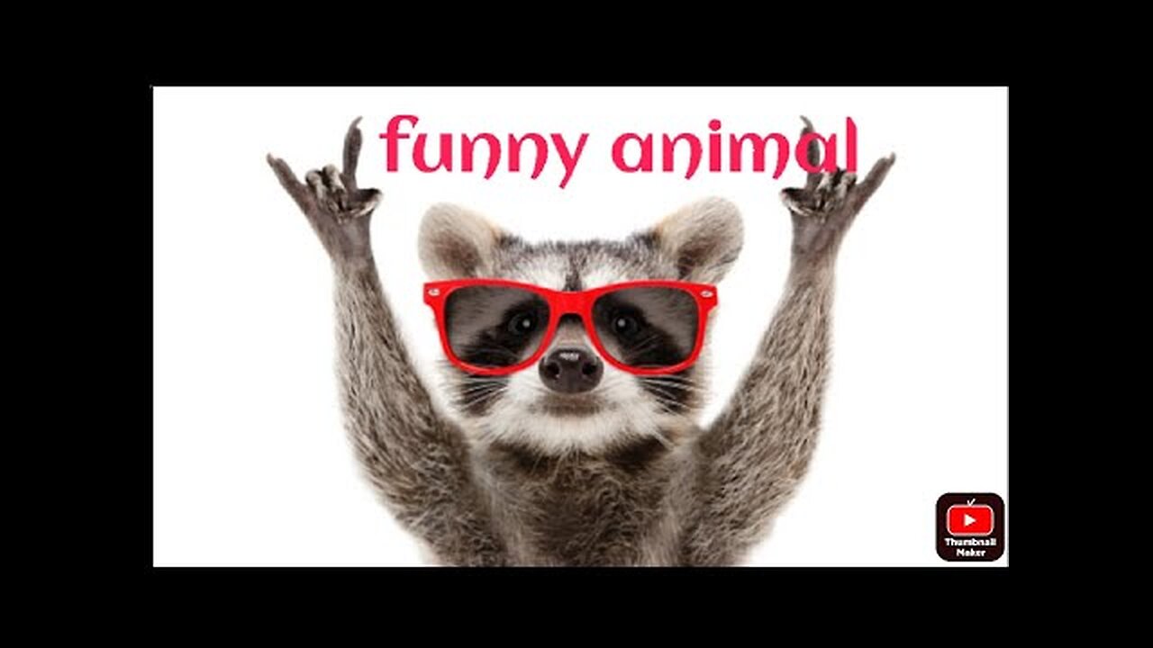 Funniest Animals 2023 | Best Funny Cats and Dogs | Funny Animal Videos 2023