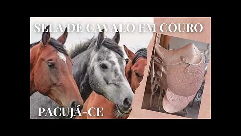 SELA EM COURO PARA CAVALO | RAIZES DO REI | BRASIL BR