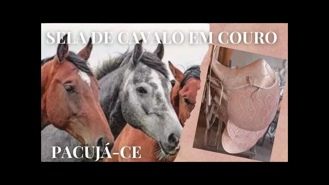 SELA EM COURO PARA CAVALO | RAIZES DO REI | BRASIL BR