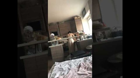 BooM BooM TikTok Challenge