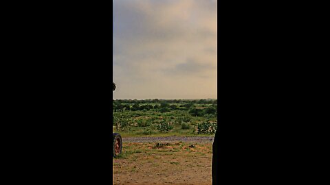 Mithri Baluchistan Garden ❤️ Peace ✌️