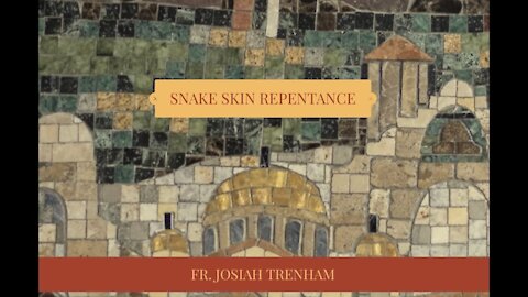 Snake Skin Repentance