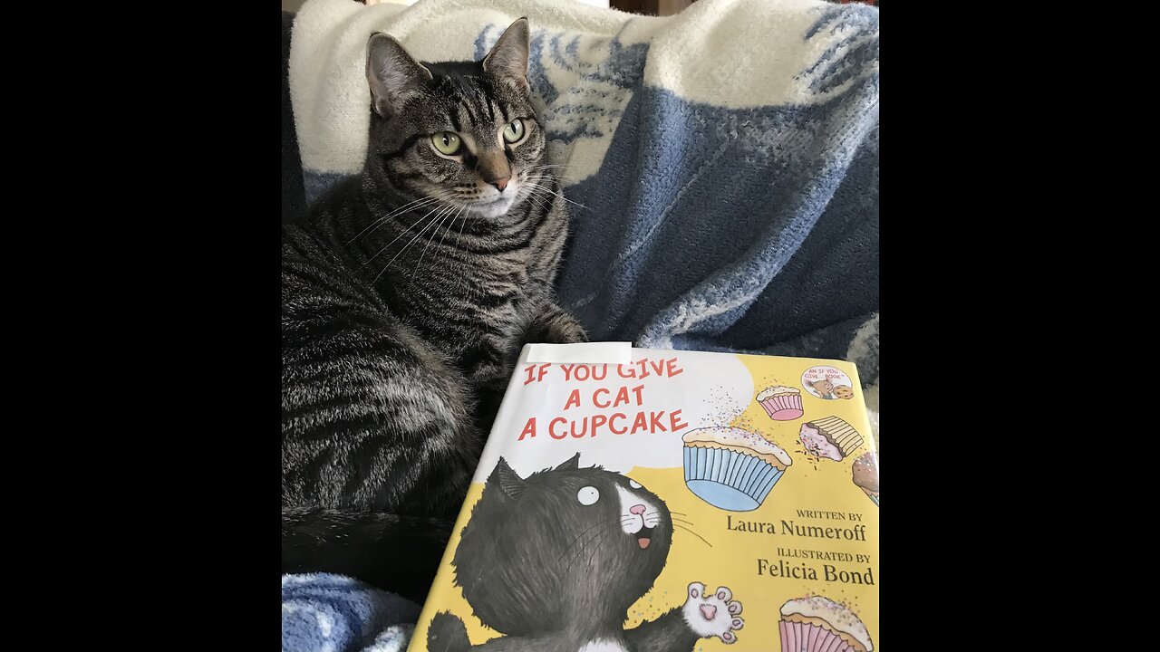 Auntie Paula reads, “if you give a cat a cupcake” by Laura Numeroff