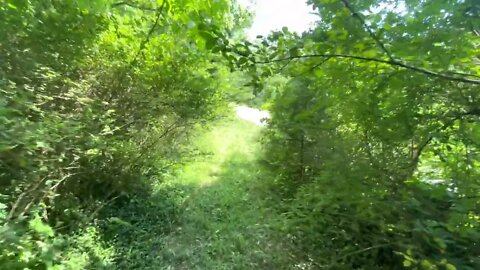 Walk to Sadler’s Ponds, Livingston Tennessee🚶‍♂️🚶🚶‍♀️