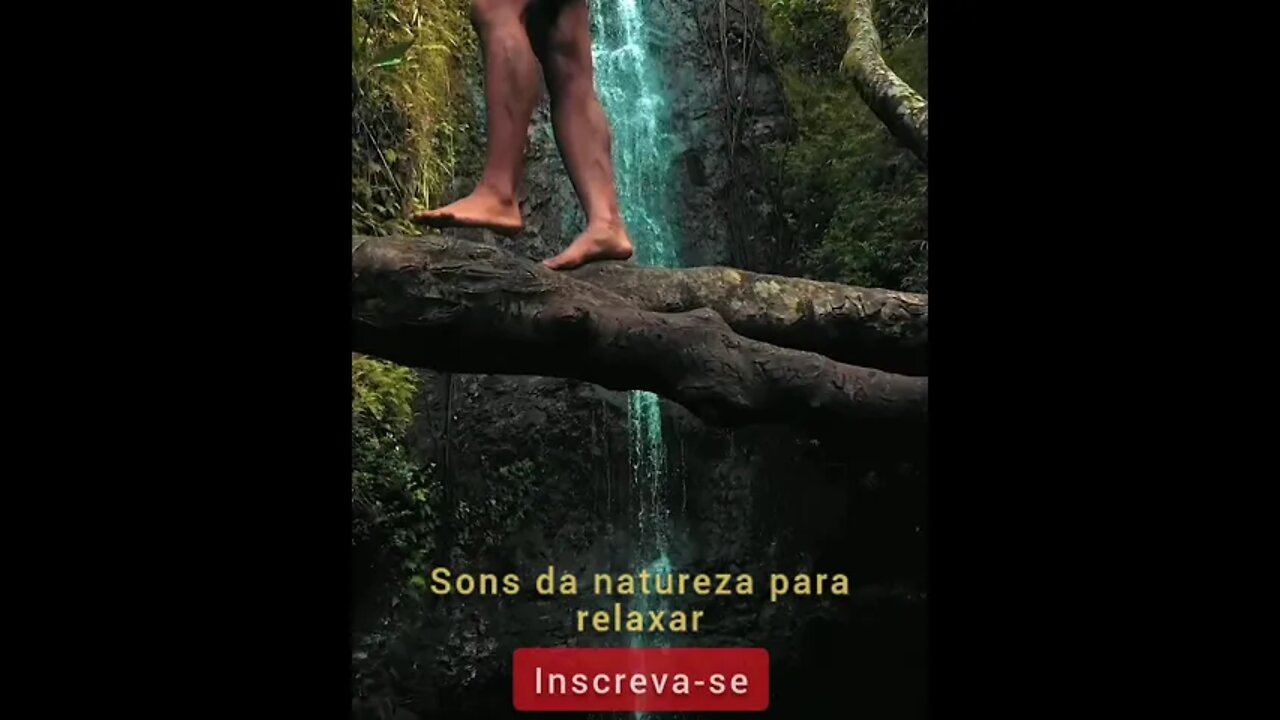 sons da natureza para relaxar, meditar e dormir #shorts