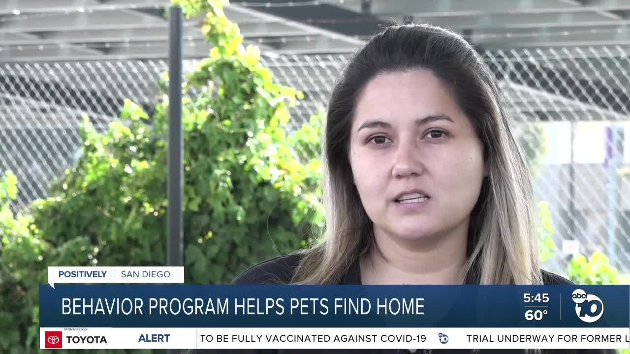 SDHS Behavior Center Program helps animals get adopted