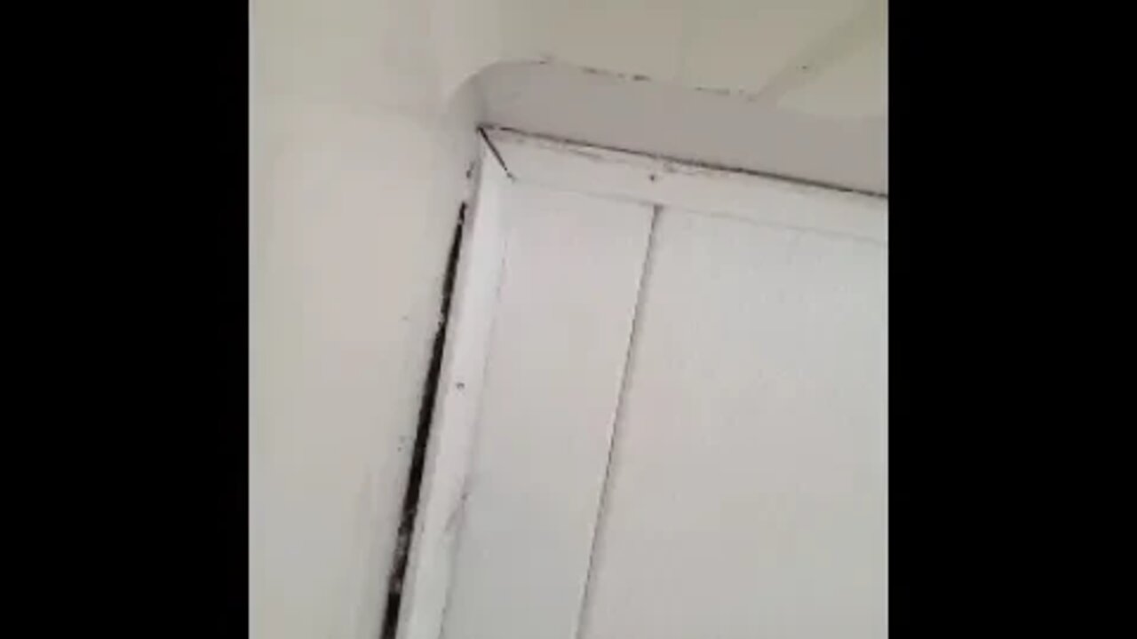 Two weeks of cold showers part 20 shower 19