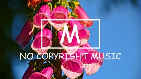 KSMK - I'm K.S.M.K（Mm No Copyright Music）