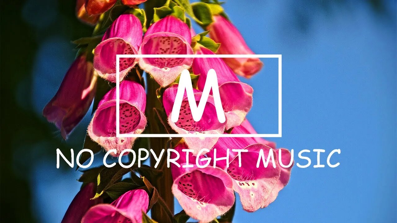 KSMK - I'm K.S.M.K(Mm No Copyright Music)