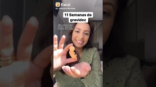 11 Semanas de gravidez