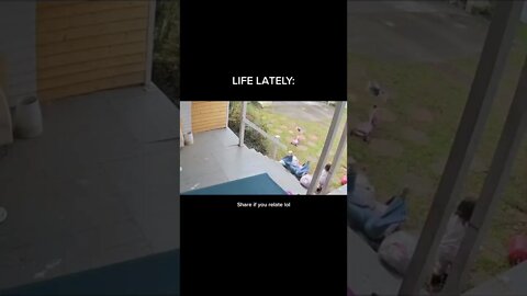 Funny moments of 2022 Viral video(4)