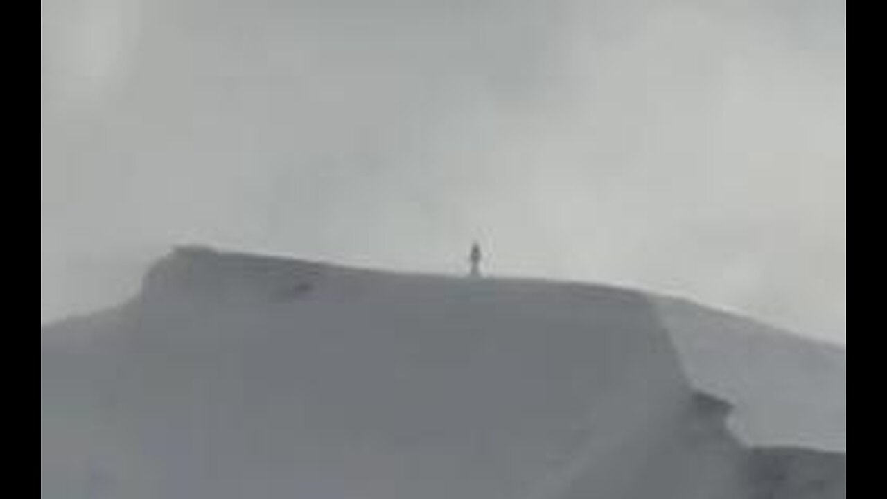 Supporter Video | news roundup