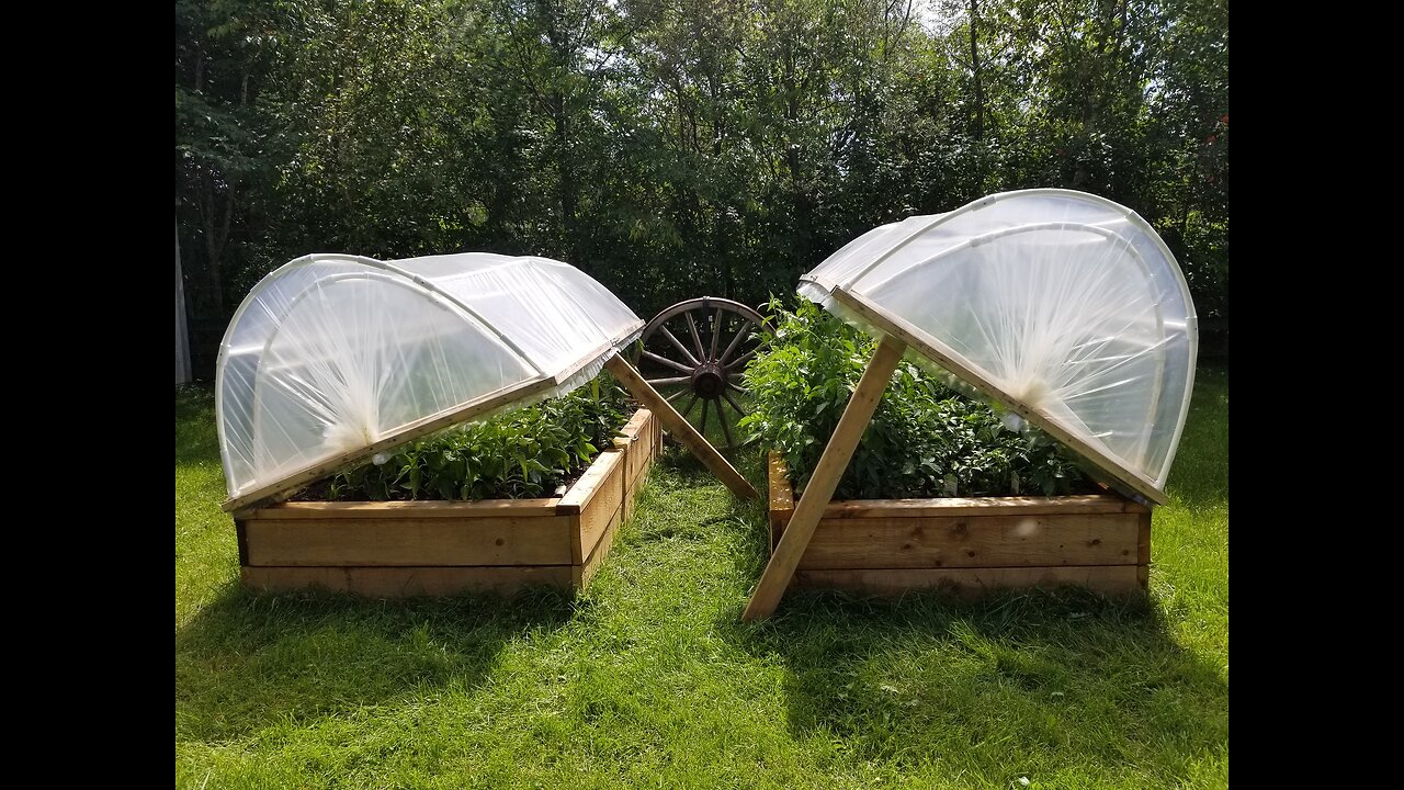 Growth and times of a Garden 67 days after transplanting my seedlings.