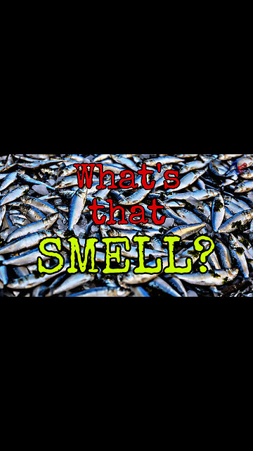 What was that smell near Freeport Texas?