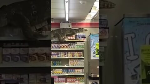 #shorts Sera um Dinossauro