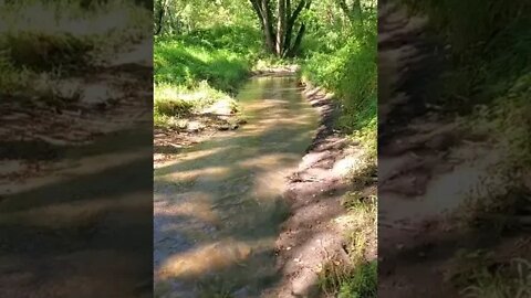 gorgeous stream.