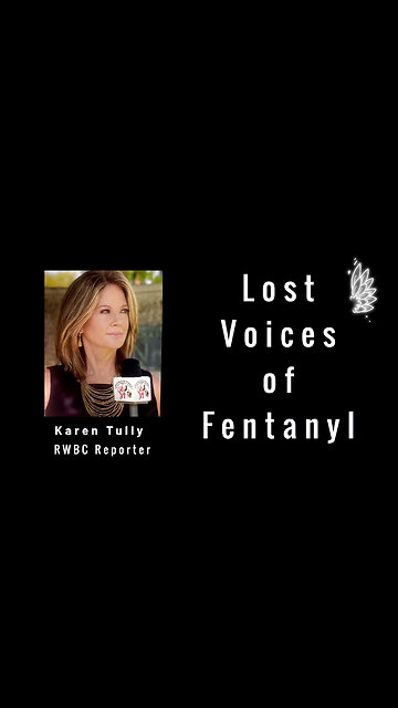 Lost Voices of Fentanyl Summary/ Karen Tully