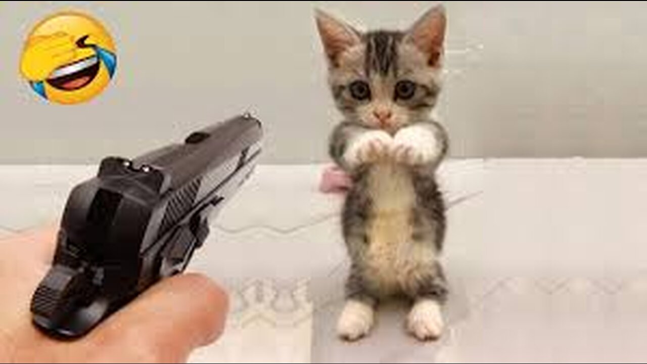 Funniest Animals 2023 π Funny Dogs and Cats Videos πΊπΆ