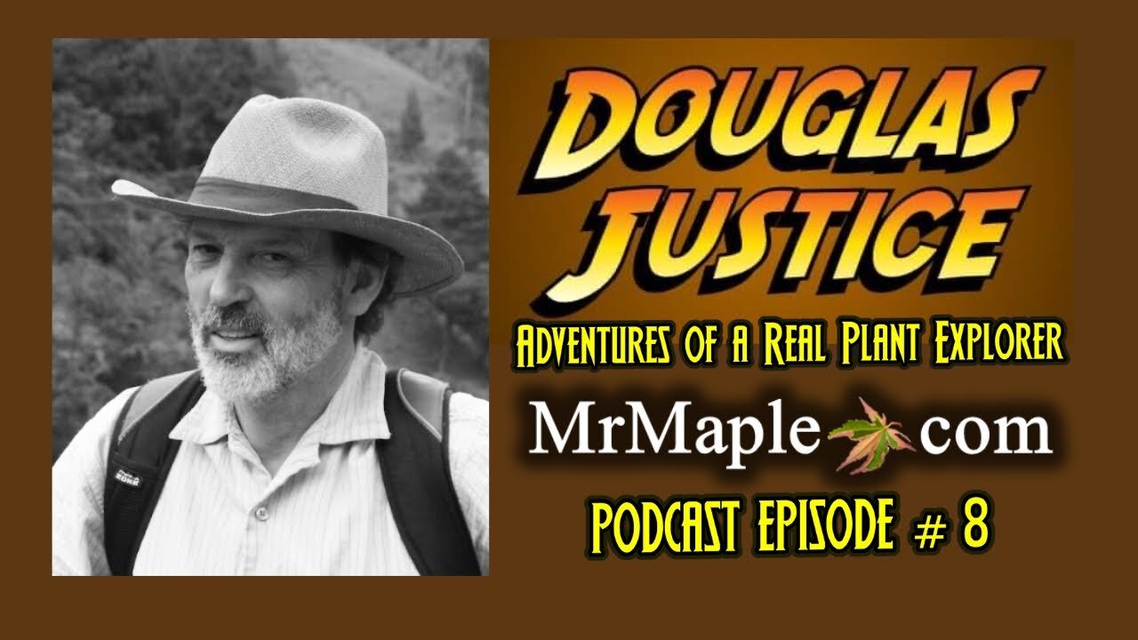 Plant Explorer Douglas Justice Interview | Indiana Jones of Botany & Maples! | MrMaple Show Podcast