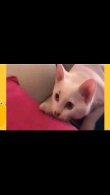 Part 17 | Follow for more