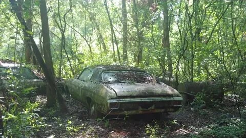 Chevelle Barn Find Old Cars For Sale #poordirtfarmer