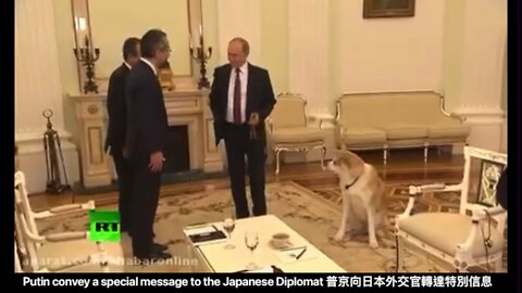 Putin convey a special message to the Japanese Diplomat