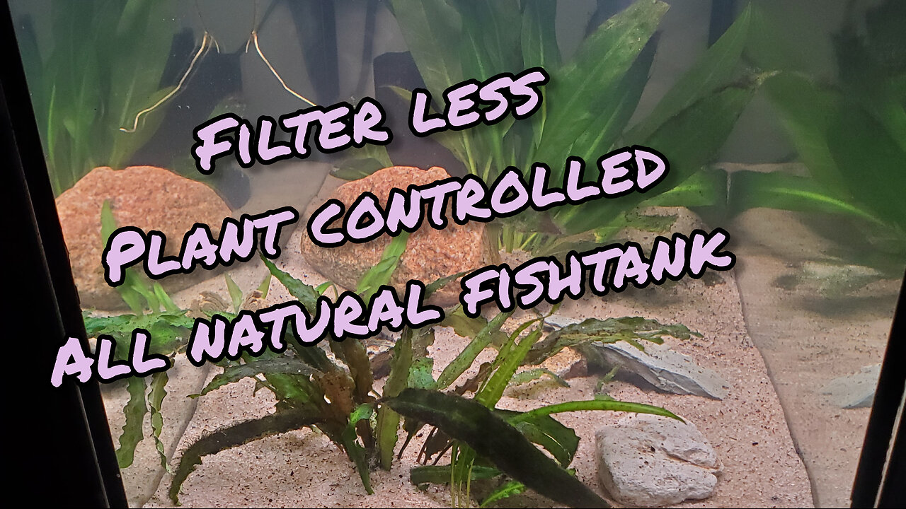 How to make an ecosystem not an aquarium!