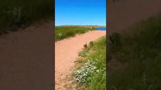 Walking to Grand Tracadie beach