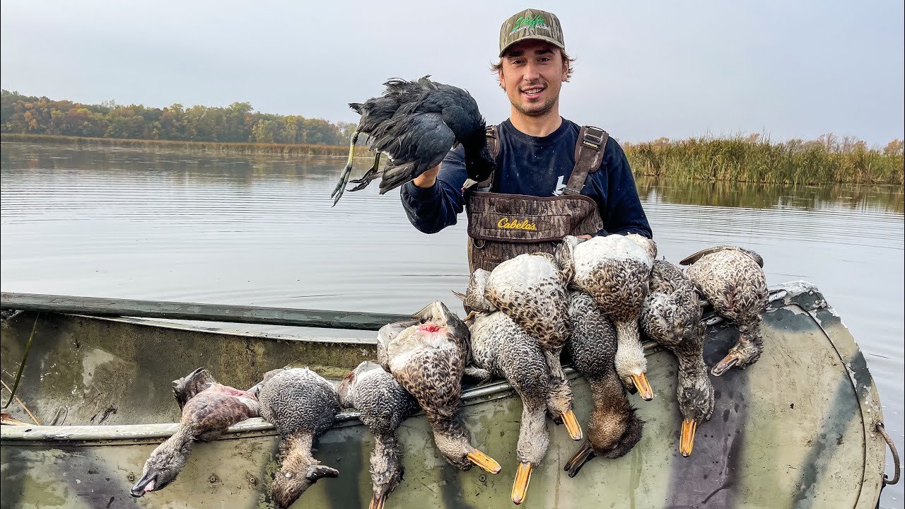 Public Land Duck Hunting! (COOT Catch Clean Cook)