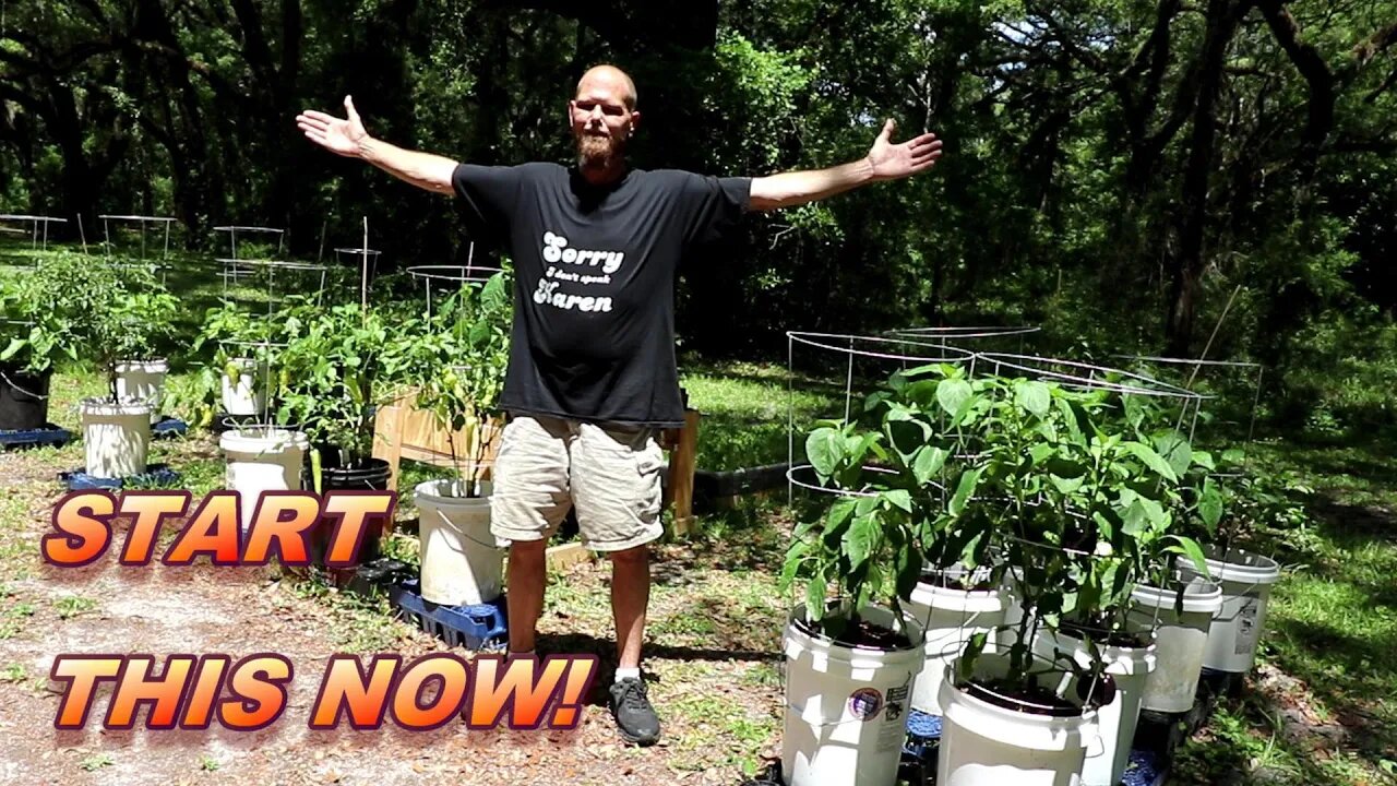 Sustainable Renters Garden full walk through! Start now before it is to late!