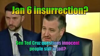 Ted cruz wreaks havoc on garland witness after 'january' witchhunt