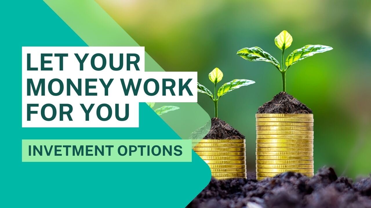 How to make your money work for you - Investment Options