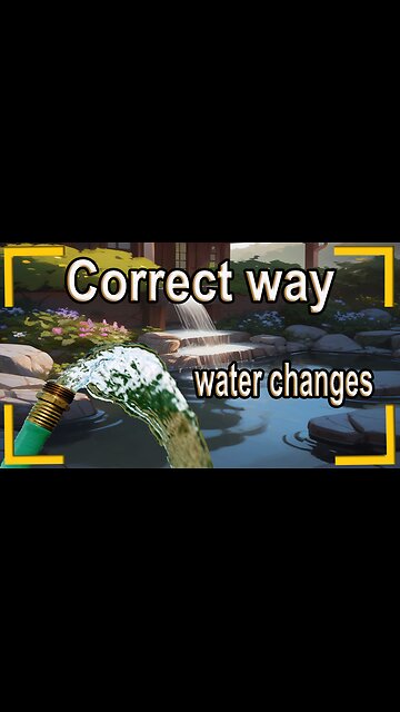 The correct way to do water changes