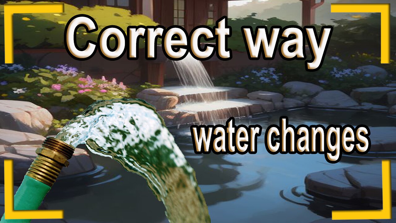 The correct way to do water changes