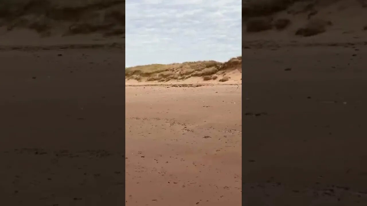 Exploring the beach in May