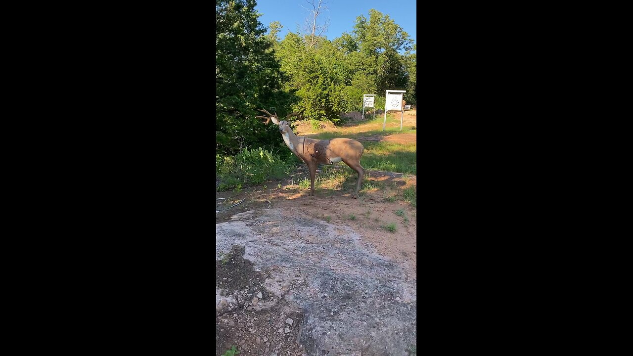 Around 60 yard bow shot at deer target