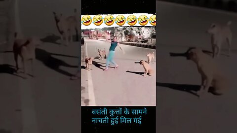 Basanti Kuto Ko Samne Nach Rahi Hai 🤣😭