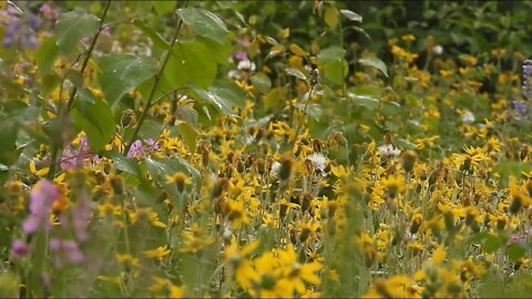 Climate Under Pressure