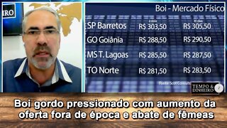Boi gordo pressionado com aumento da oferta fora de época e abate de fêmeas