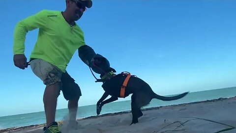 COMANDO 'ÅUZ' ( SOLTAR ) . TREINO NA PRAIA