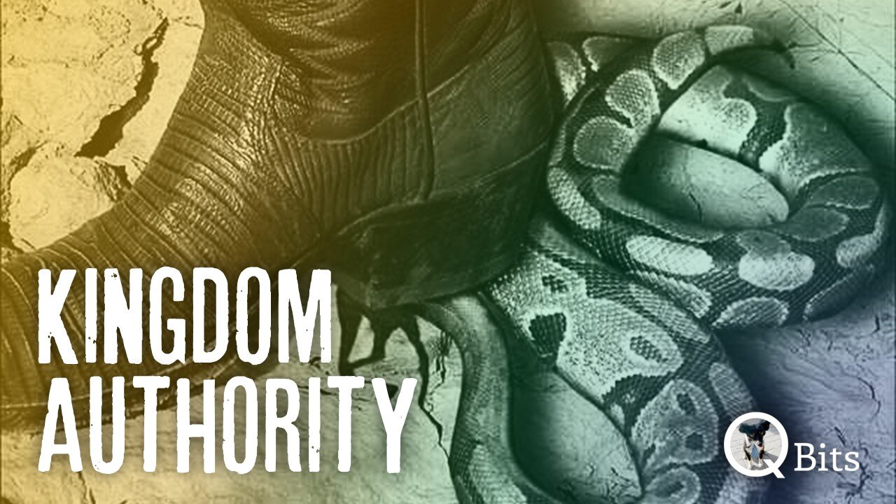 #676 // KINGDOM AUTHORITY - LIVE