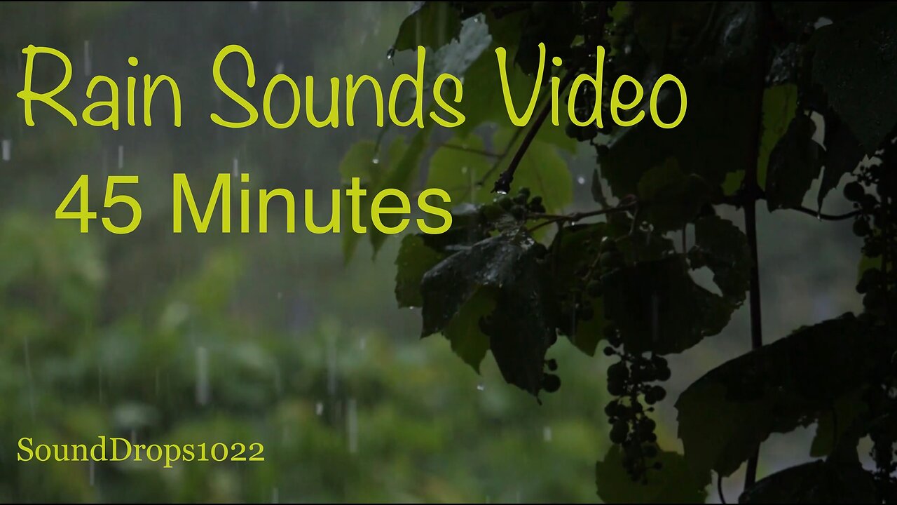 Study In Peace With 45 Minutes Of Rain Sounds Video