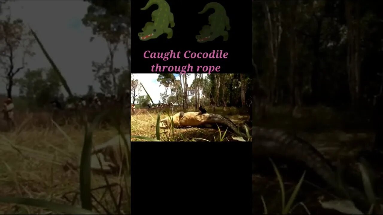 Cocodile caught through rope 2022🪢#shorts #youtubeshorts #shortvideo